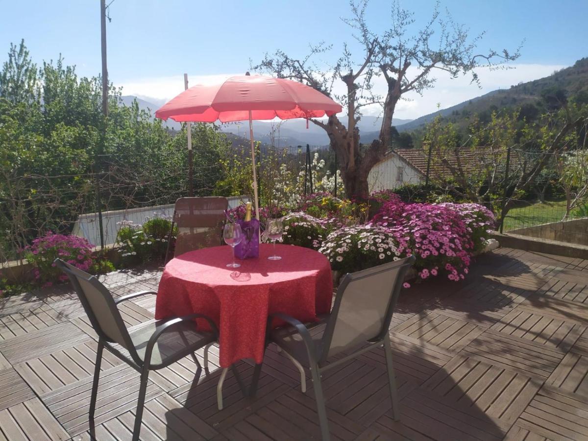 Studio Le Romantique A 20 Kms De Nice Bendéjun エクステリア 写真
