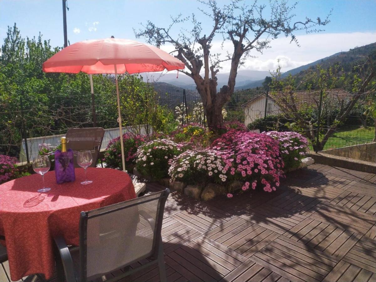 Studio Le Romantique A 20 Kms De Nice Bendéjun エクステリア 写真