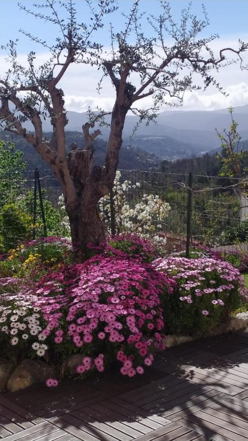 Studio Le Romantique A 20 Kms De Nice Bendéjun エクステリア 写真